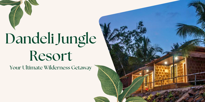 Best Dandeli Jungle Resort