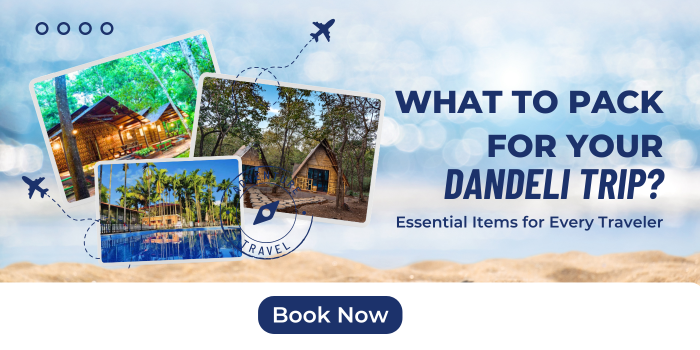 What to Pack for Your Dandeli Trip