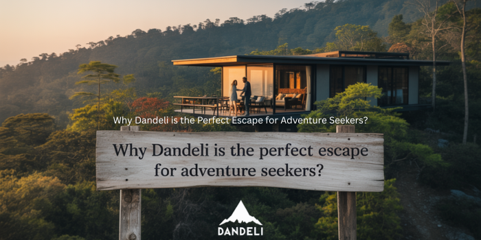 Why Dandeli is the Perfect Escape for Adventure Seekers?